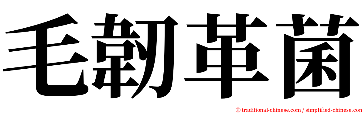 毛韌革菌 serif font