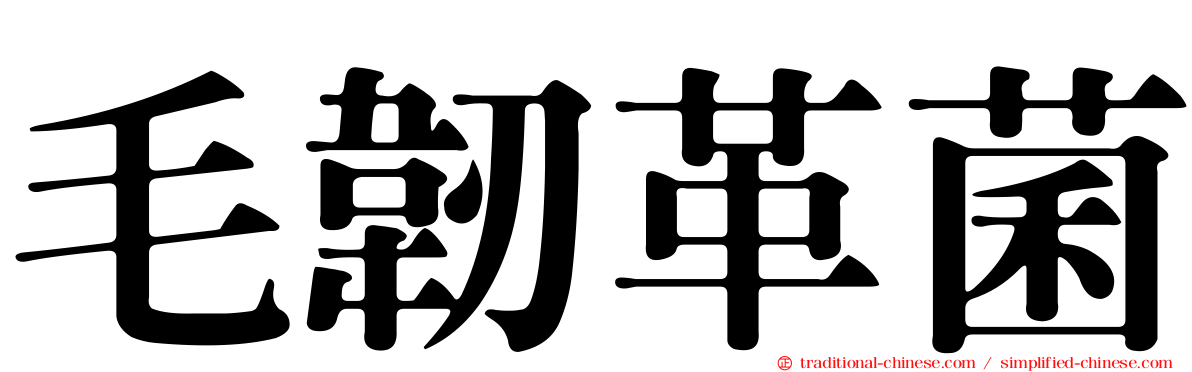 毛韌革菌