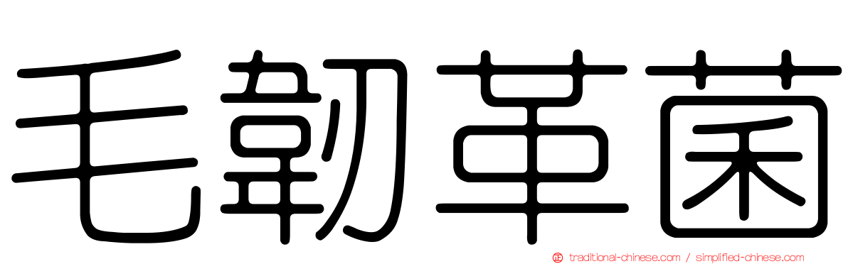 毛韌革菌