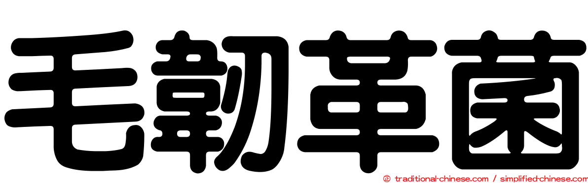 毛韌革菌