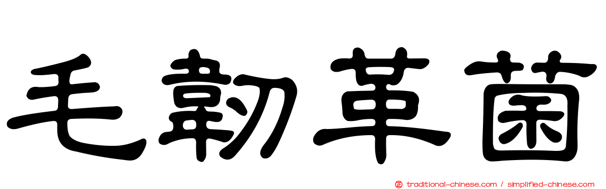 毛韌革菌