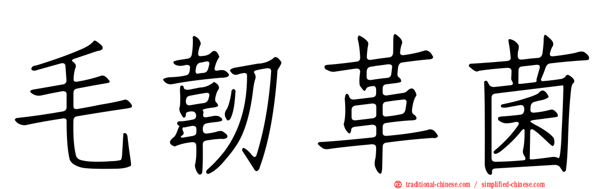 毛韌革菌