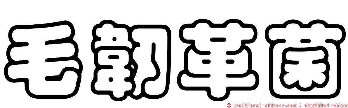 毛韌革菌
