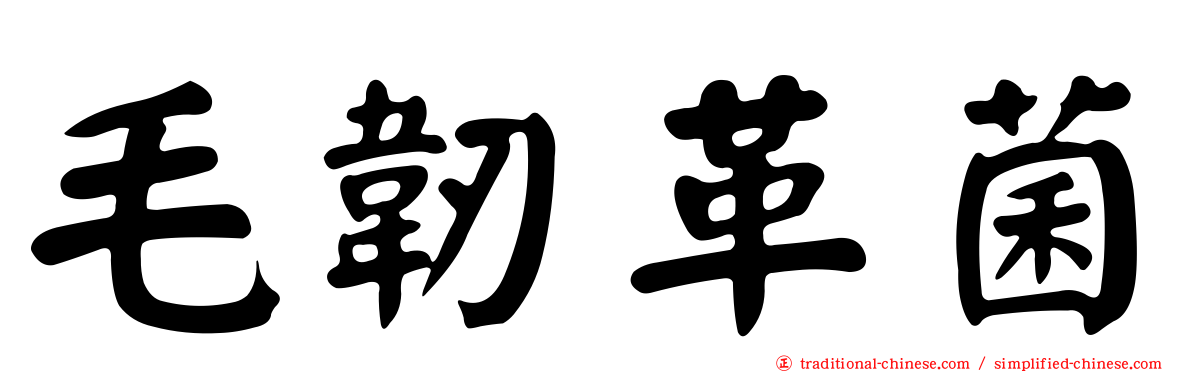 毛韌革菌