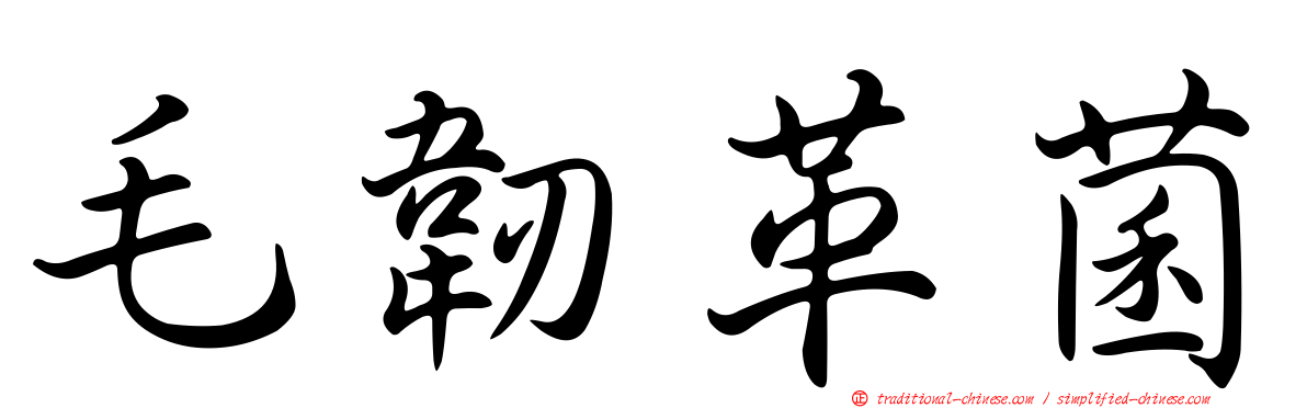 毛韌革菌