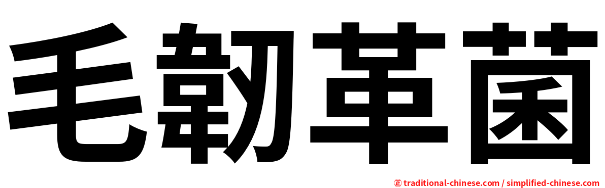 毛韌革菌