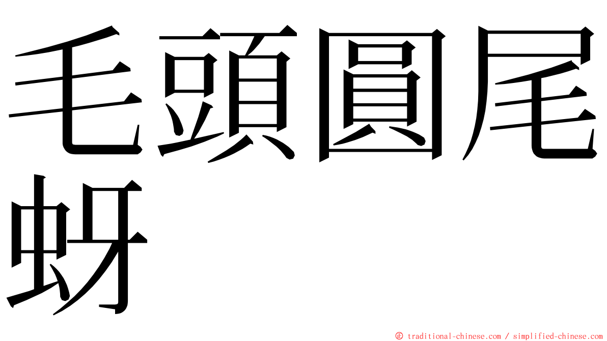 毛頭圓尾蚜 ming font