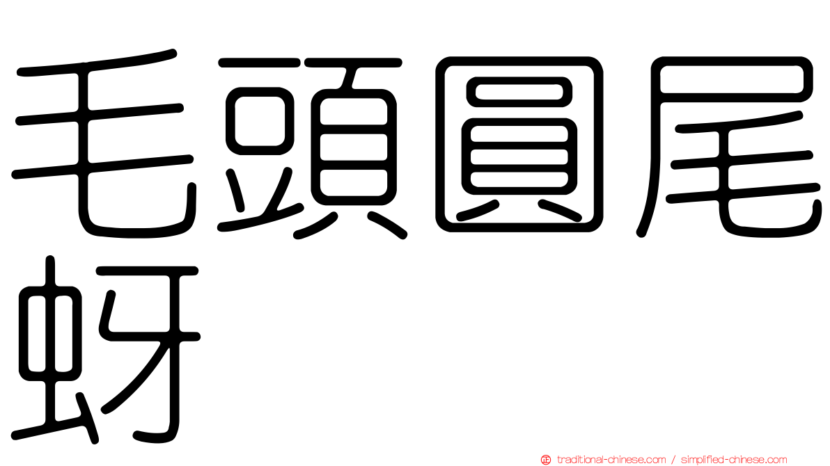 毛頭圓尾蚜