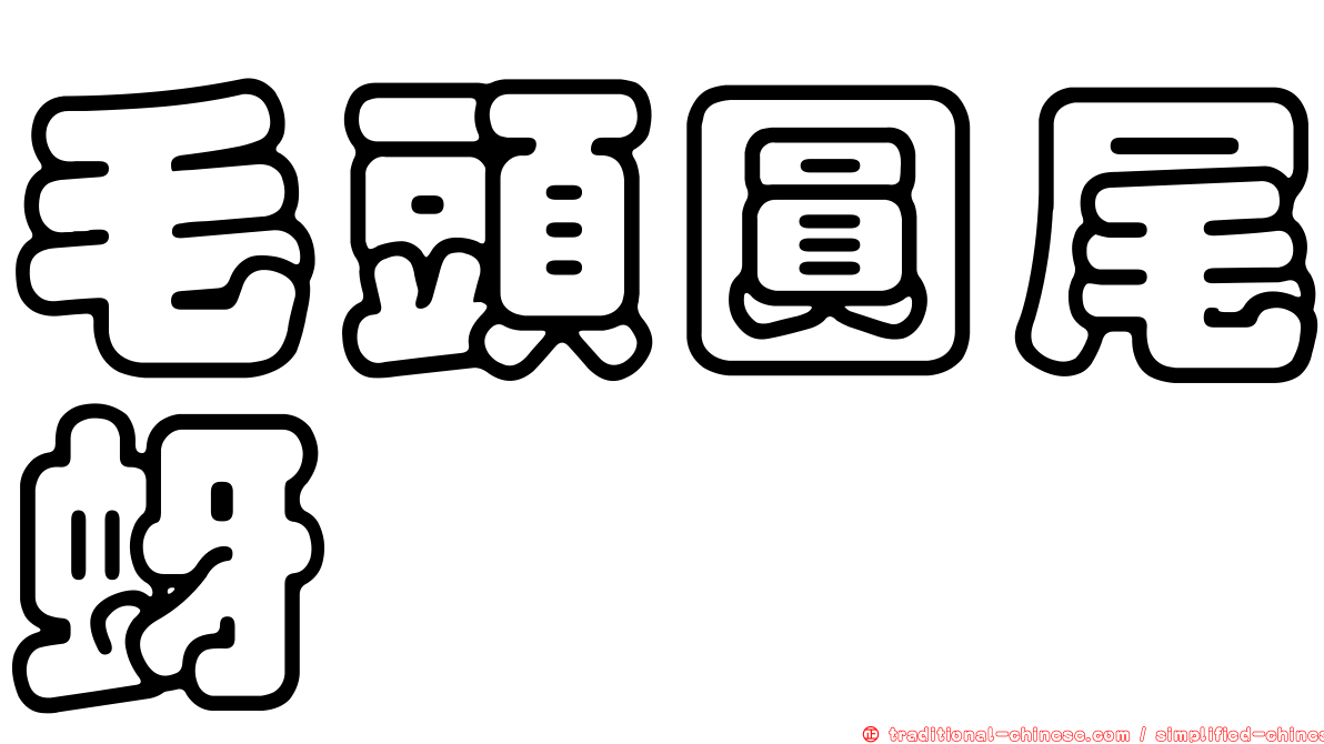 毛頭圓尾蚜