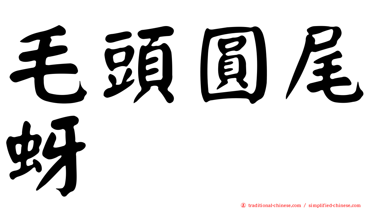 毛頭圓尾蚜