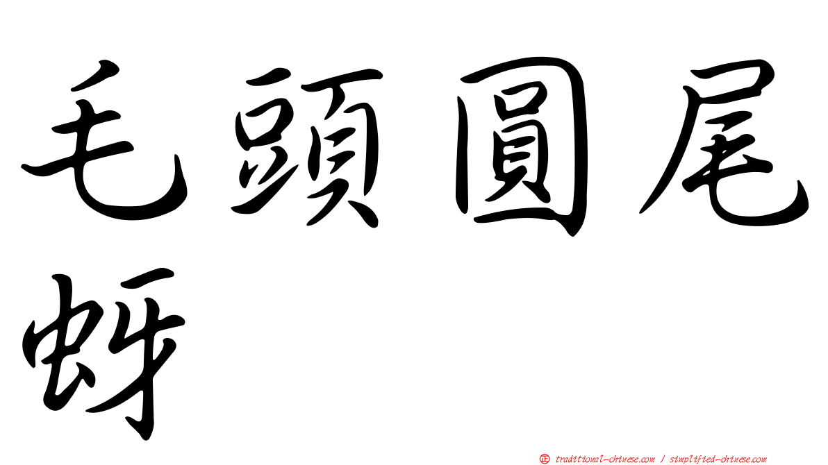毛頭圓尾蚜