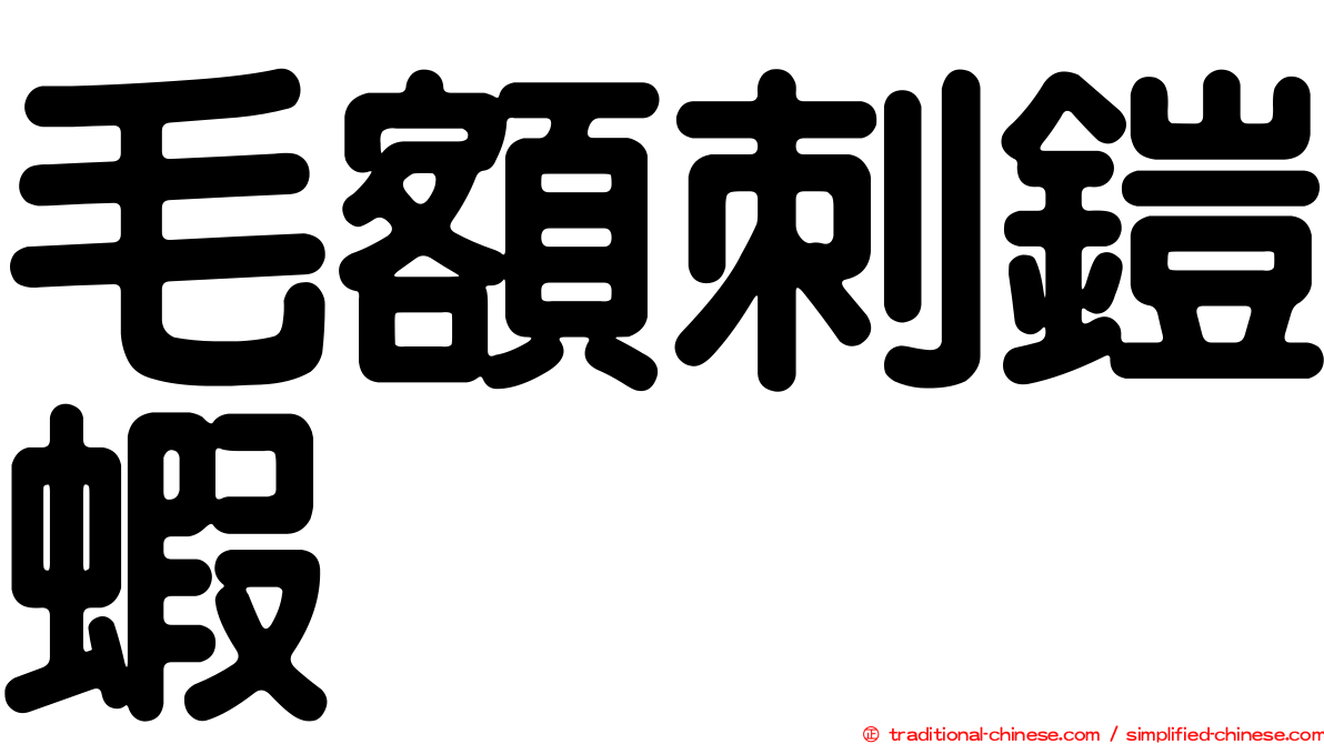 毛額刺鎧蝦
