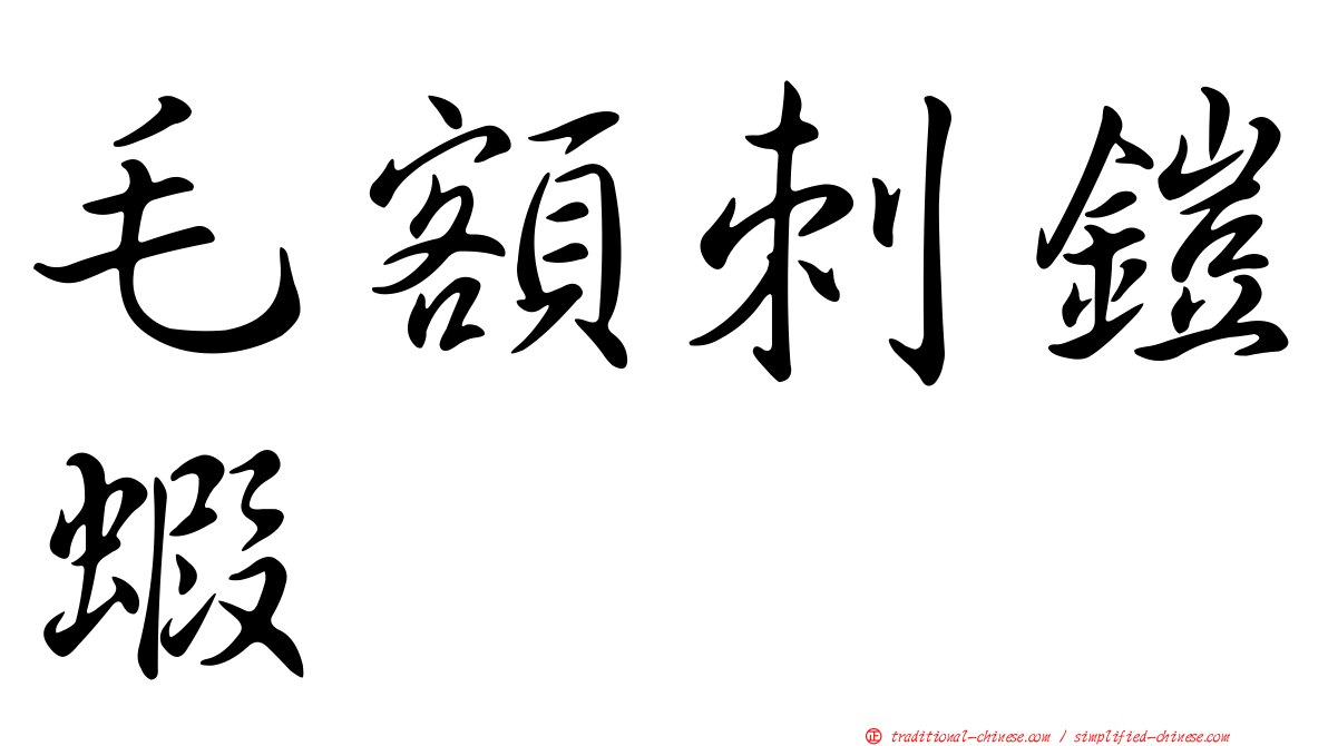 毛額刺鎧蝦
