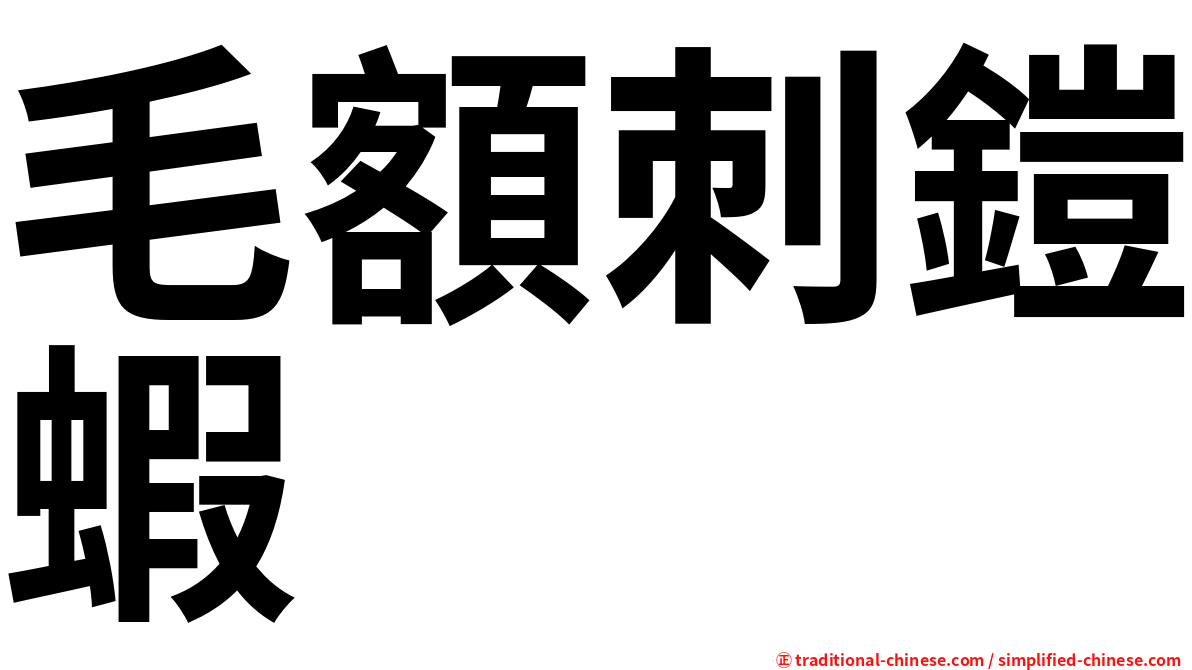毛額刺鎧蝦