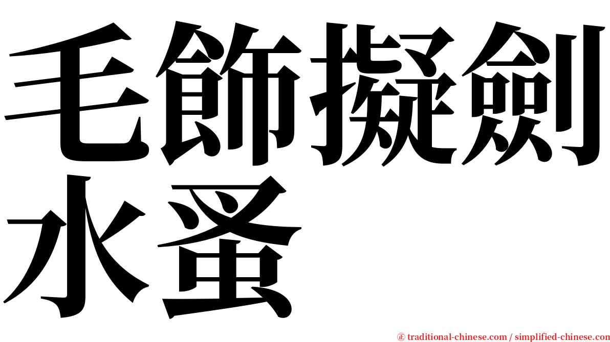 毛飾擬劍水蚤 serif font