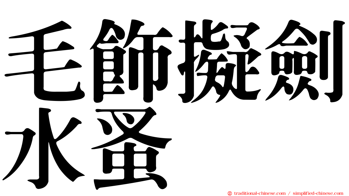 毛飾擬劍水蚤