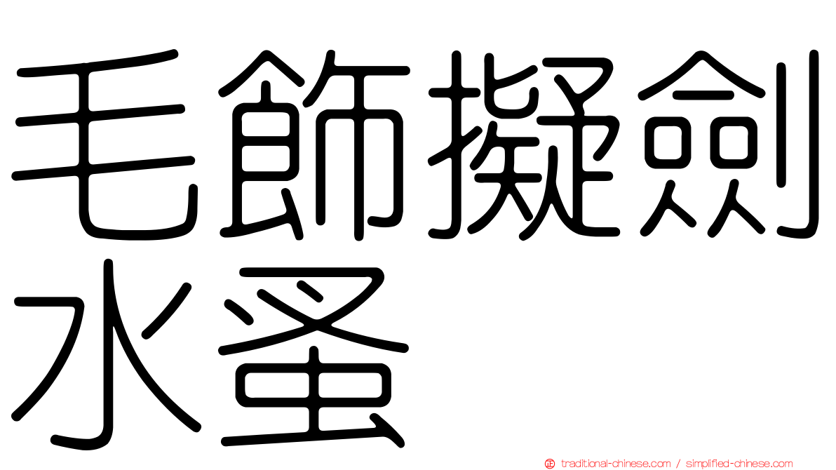 毛飾擬劍水蚤