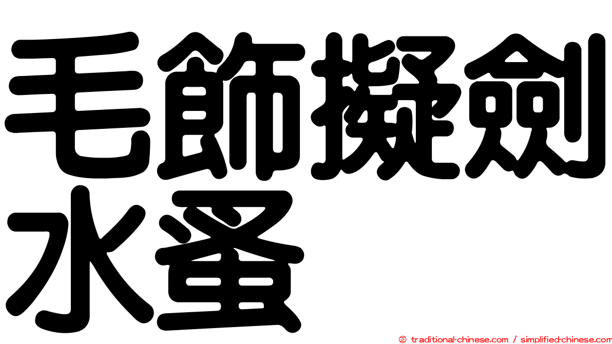 毛飾擬劍水蚤