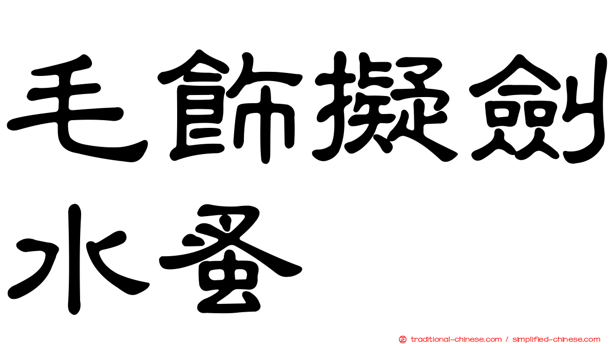 毛飾擬劍水蚤