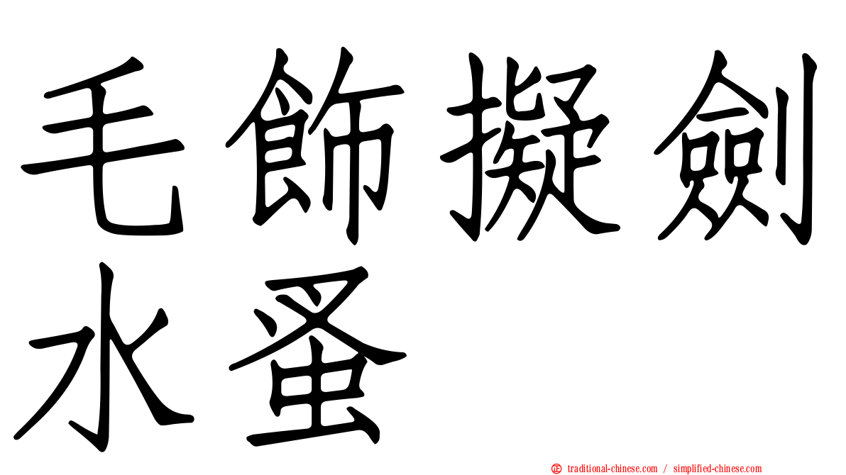 毛飾擬劍水蚤