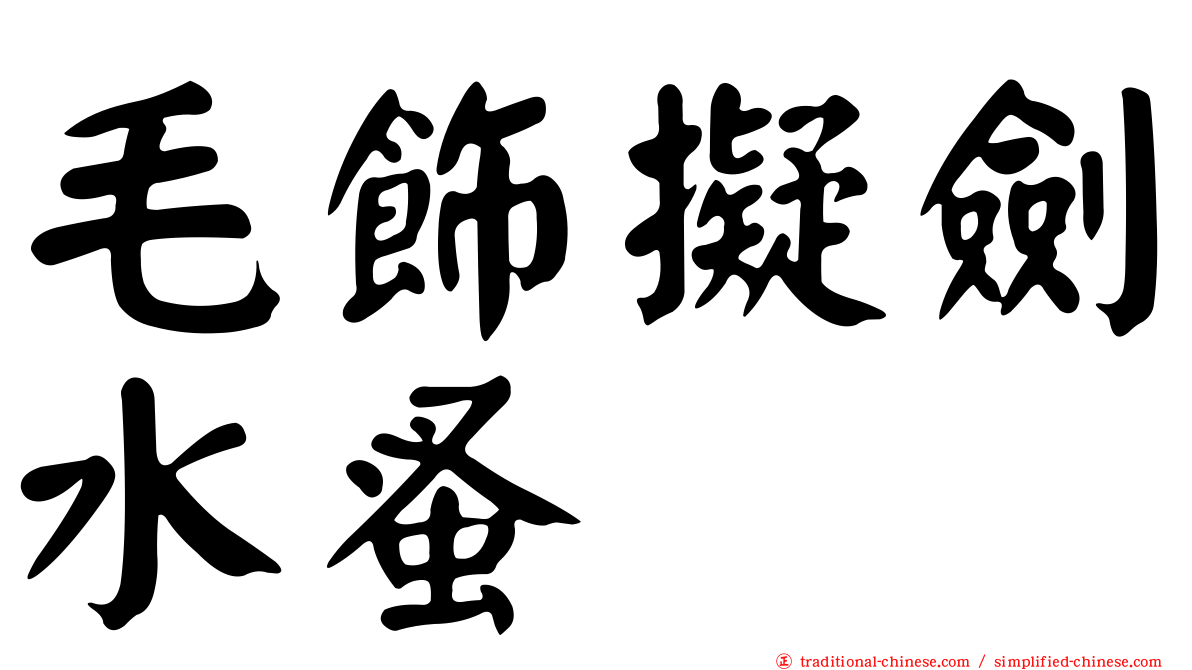 毛飾擬劍水蚤