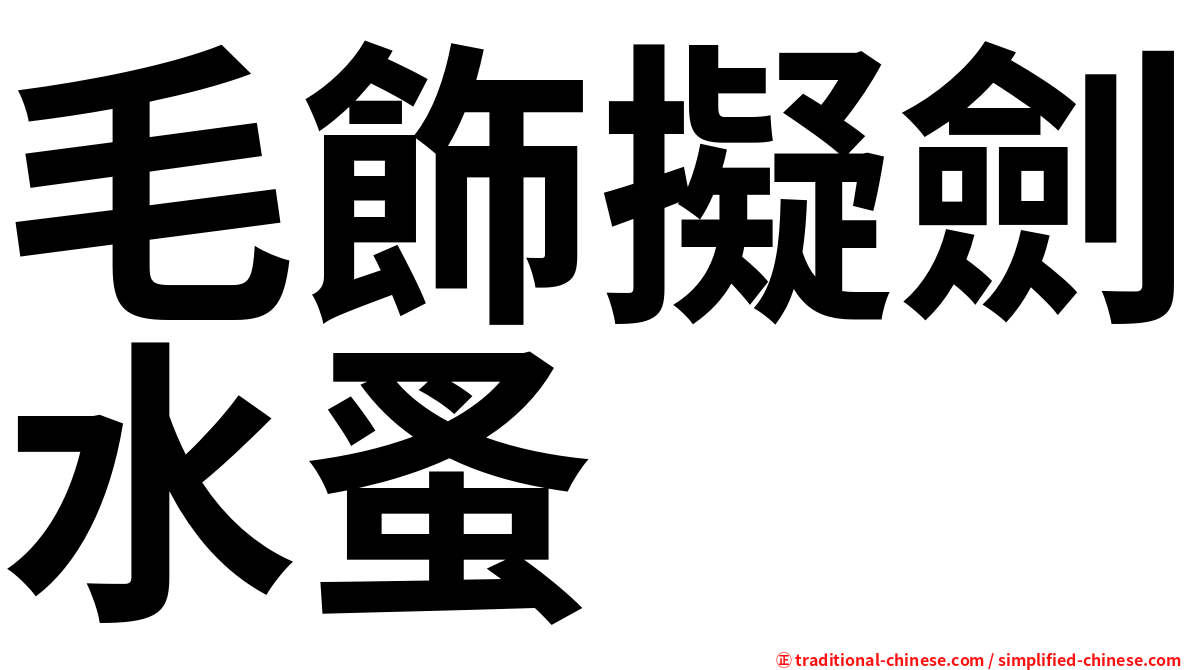 毛飾擬劍水蚤