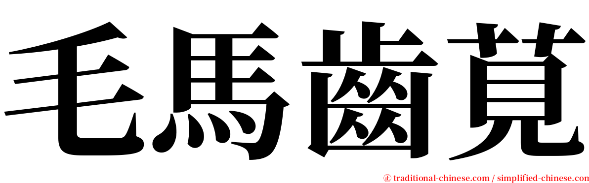 毛馬齒莧 serif font