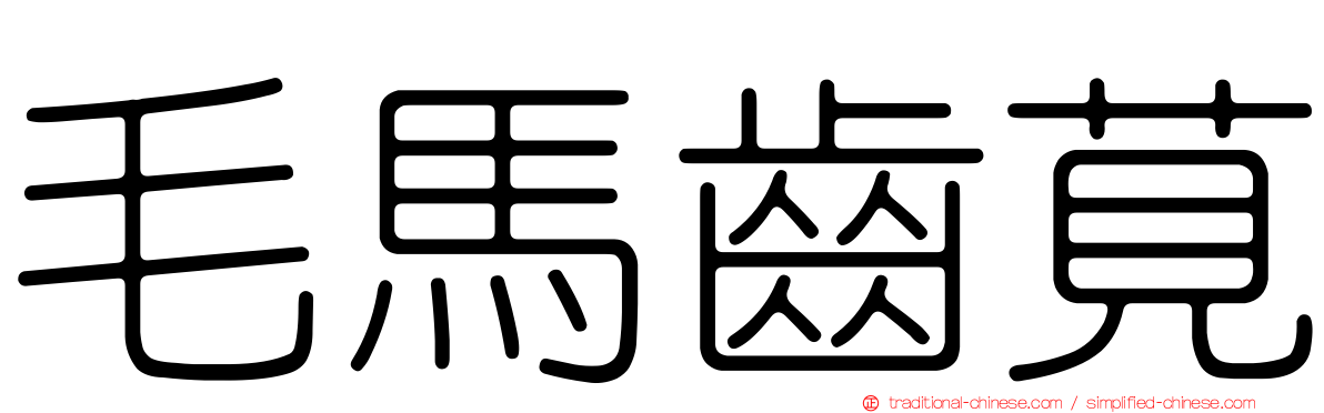 毛馬齒莧