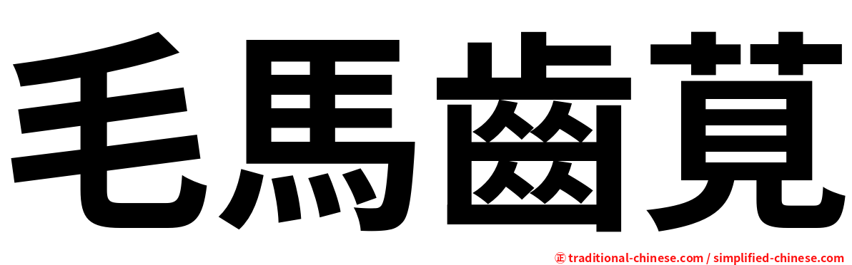 毛馬齒莧