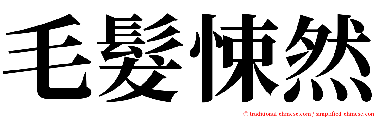 毛髮悚然 serif font