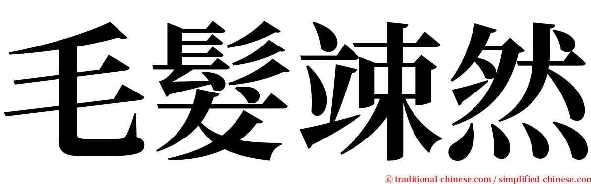 毛髮竦然 serif font
