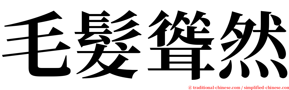 毛髮聳然 serif font