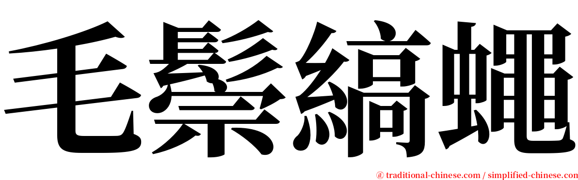 毛鬃縞蠅 serif font