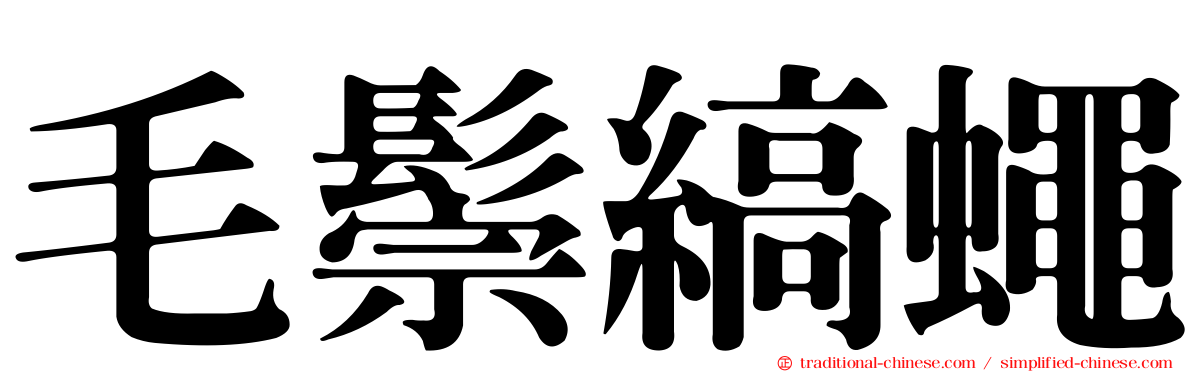 毛鬃縞蠅