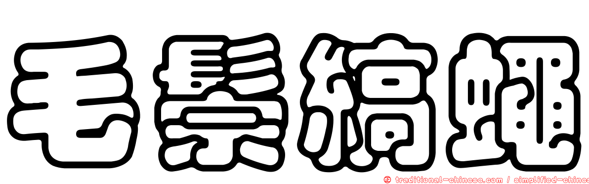 毛鬃縞蠅