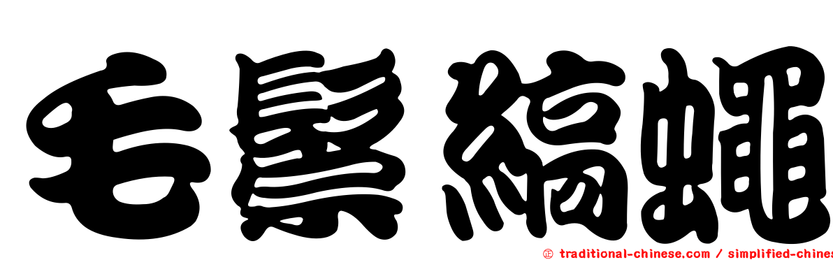 毛鬃縞蠅