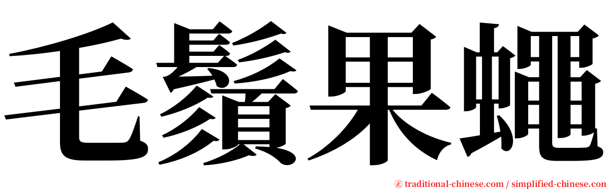 毛鬚果蠅 serif font