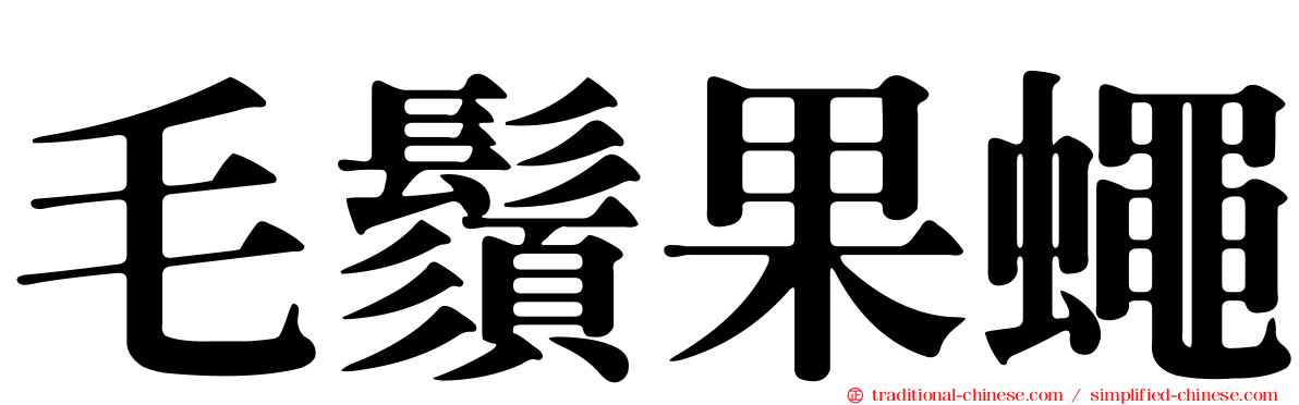 毛鬚果蠅