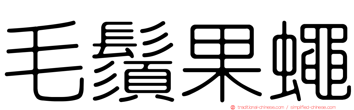 毛鬚果蠅