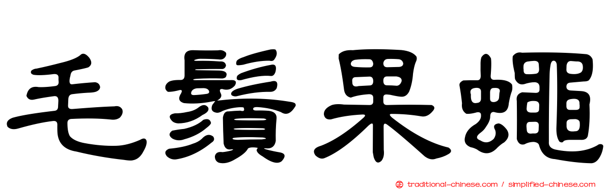 毛鬚果蠅