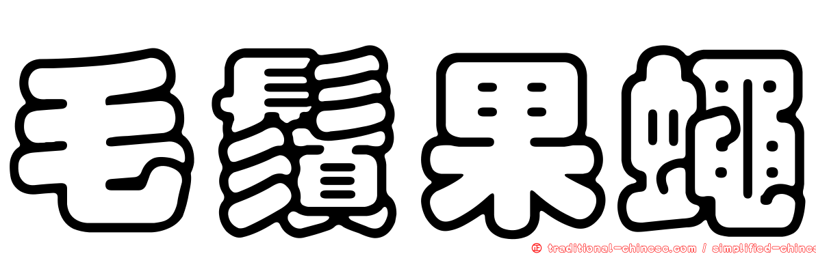 毛鬚果蠅