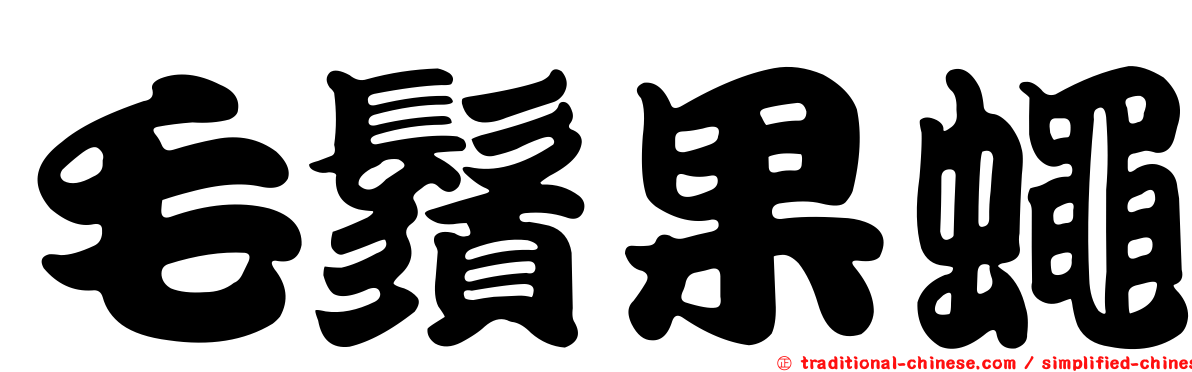 毛鬚果蠅