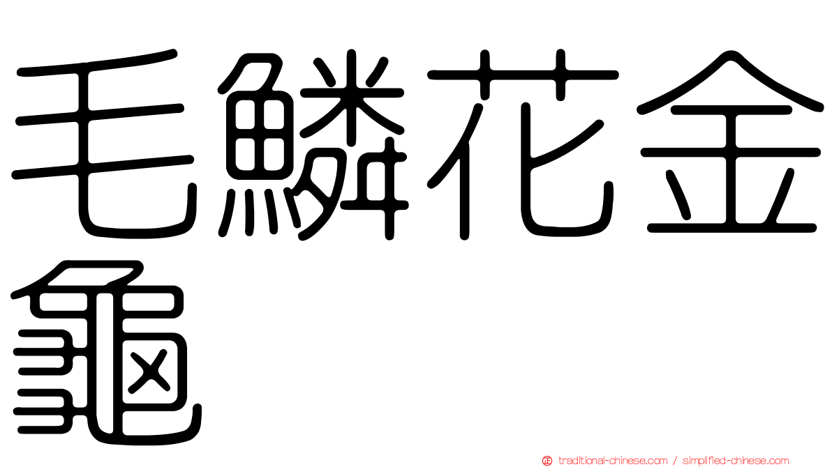 毛鱗花金龜