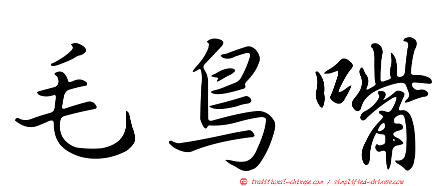 毛鳥嘴