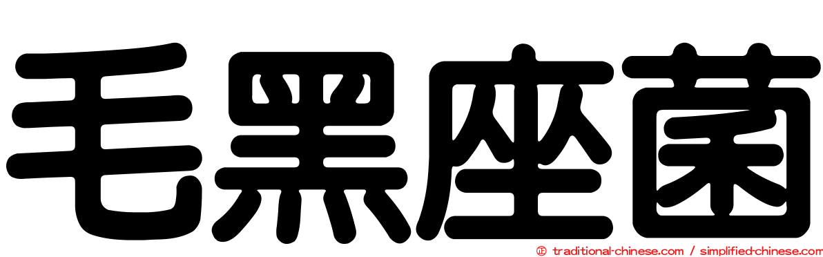 毛黑座菌