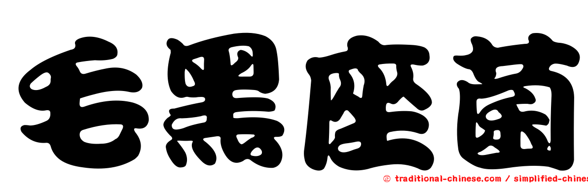 毛黑座菌