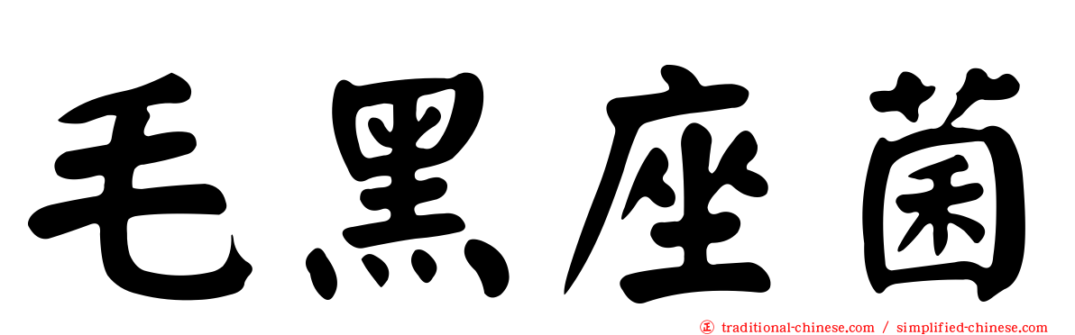 毛黑座菌