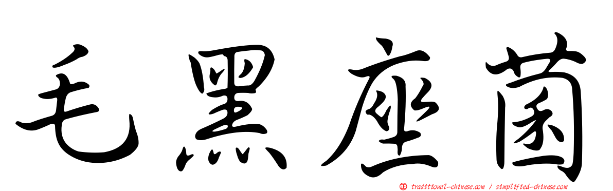 毛黑座菌