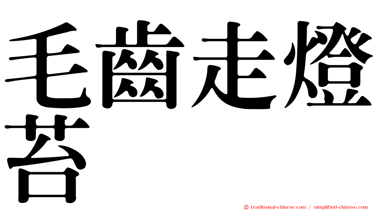 毛齒走燈苔