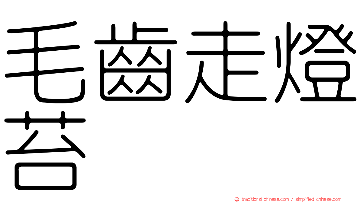 毛齒走燈苔